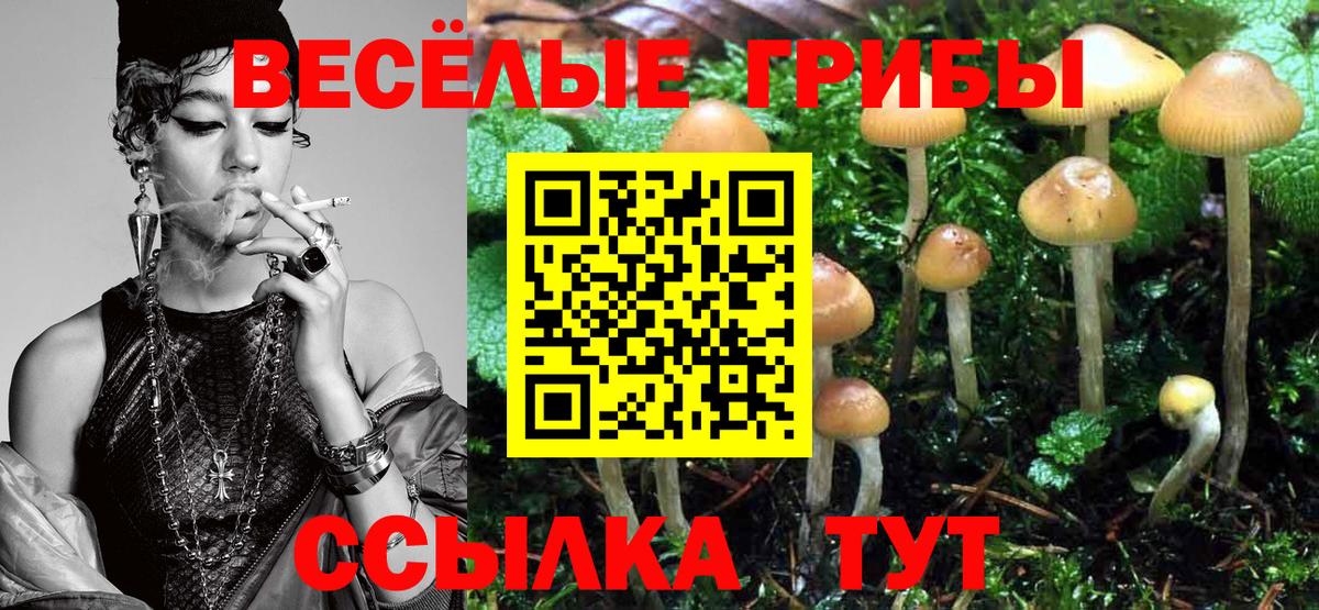 Галлюциногенные грибы Psilocybe  Псилоцибиновые грибы Psilocybe  Сертолово  Вход с VPN 